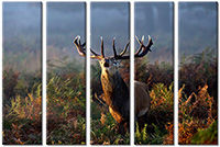 Tableau  5 panneaux