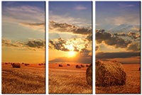 Tableau  3 panneaux