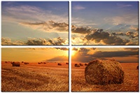 Tableau  4 panneaux