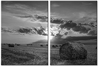 Tableau  2 panneaux