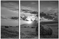 Tableau  3 panneaux