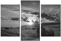 Tableau  3 panneaux