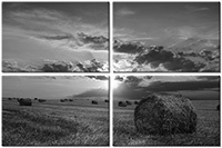Tableau  4 panneaux