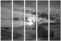 Tableau  5 panneaux