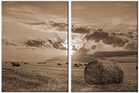 Tableau  2 panneaux