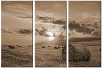 Tableau  3 panneaux