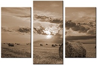 Tableau  3 panneaux