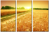 Tableau  3 panneaux