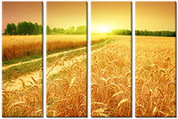 Tableau  4 panneaux