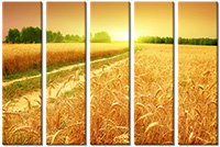 Tableau  5 panneaux