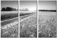 Tableau  3 panneaux
