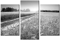 Tableau  3 panneaux