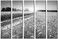 Tableau  5 panneaux