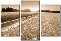 Tableau  3 panneaux