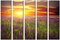 Tableau  5 panneaux