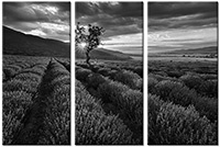 Tableau  3 panneaux