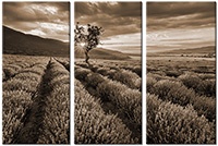 Tableau  3 panneaux