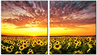 Tableau  2 panneaux