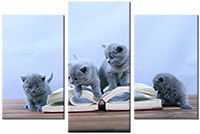 Tableau  3 panneaux
