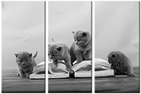 Tableau  3 panneaux
