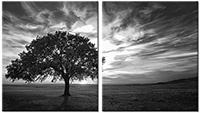 Tableau  2 panneaux