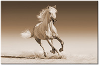 Version: sepia