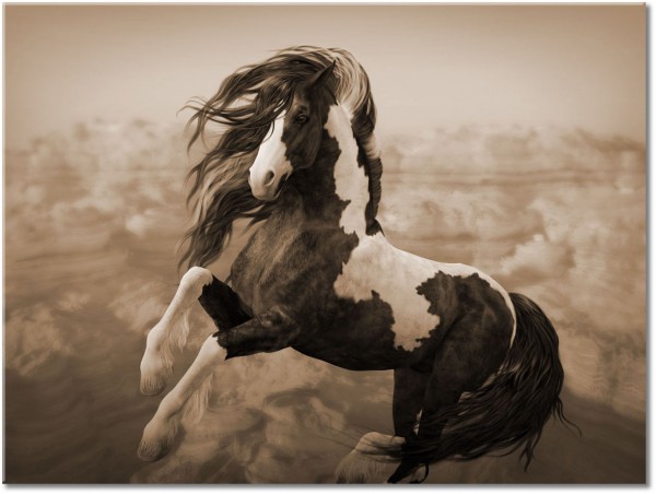 tableau sur toile, animaux, beige, blanc, chevaux, marron, orange, rose