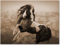 Version: sepia