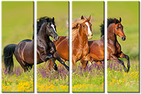 Tableau  4 panneaux