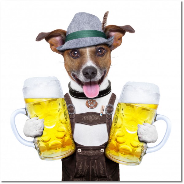 tableau sur toile, aliments-boissons, animaux, autres, bars, biere, blanc, boissons, chiens, chiens-chats, divers, drole, gris, jaune, marron