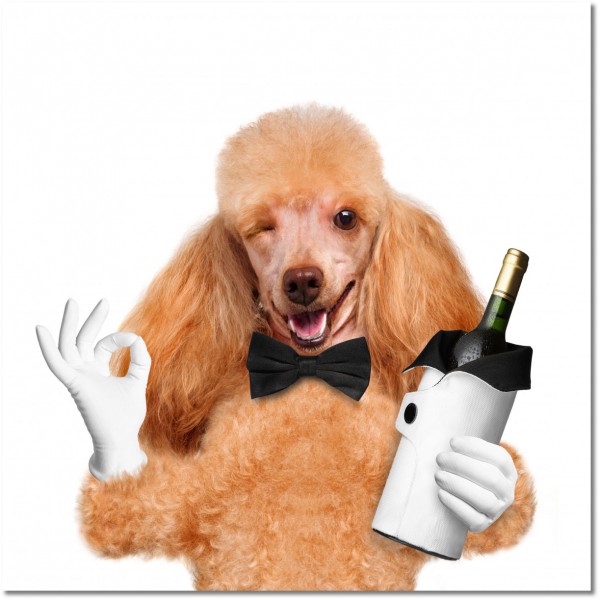 tableau sur toile, aliments-boissons, animaux, autres, bars, blanc, boissons, champagne, chiens, chiens-chats, divers, drole, marron, orange, restaurants