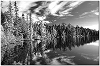 Version: noir-et-blanc