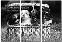 Tableau  3 panneaux