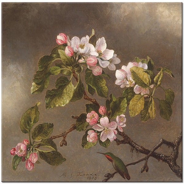 tableau sur toile, animaux, art, blanc, colibris, fleurs, johnson-heade, marron, nature-morte-autres-peintures, oiseaux, oiseaux-poissons-insectes, peintures, rose, vert, violet