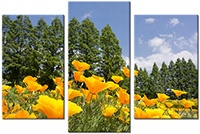 Tableau  3 panneaux