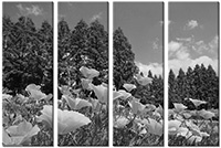 Tableau  4 panneaux