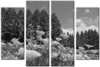 Tableau  4 panneaux