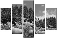 Tableau  5 panneaux