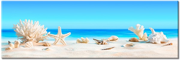 tableau sur toile, beige, bleu, coquillages, cyan, divers, mer, plage, sable, vert