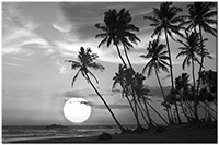 Version: noir-et-blanc