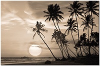 Version: sepia
