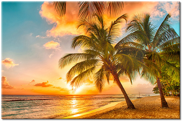 tableau sur toile, arbres, beige, bleu, ciel, coucher-soleil, mer, mer-cascades-lacs, nuages, orange, palmiers, paysages, plage, soleil, tourisme, vert