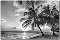 Version: noir-et-blanc