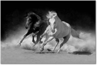 Tableau 1 panneau