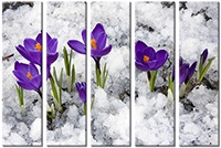 Tableau  5 panneaux