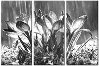 Tableau  3 panneaux