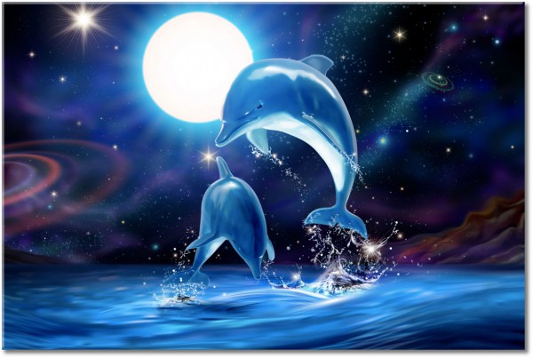tableau sur toile, abstrait-fantaisie, animaux, blanc, bleu, dauphins, dessin, enfants, etoiles, lune, mer, noir, nuit, oiseaux-poissons-insectes, planete, violet
