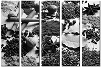 Tableau  5 panneaux
