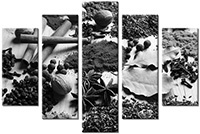 Tableau  5 panneaux