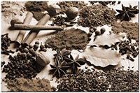 Version: sepia